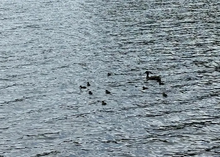 Luxe tent Iglu Holyday San Amaro